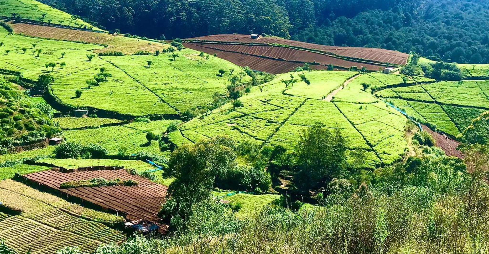 Haputele'den Bambarakanda'ya akan su damlaları - Hizvo