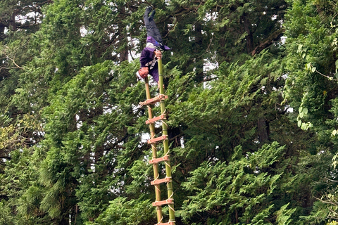 Tour privato di un giorno a Nikko con autista che parla inglese