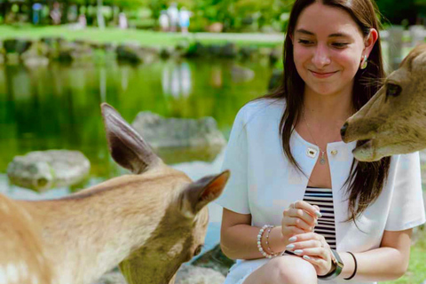 Osaka & Nara: Must-see Spots Full Day Tour with Hotel Pickup