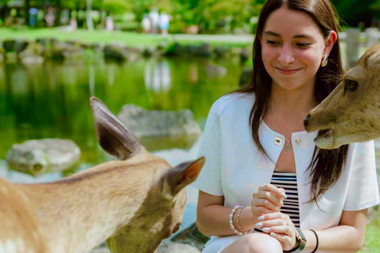 Osaka & Nara: Must-see Spots Full Day Tour with Hotel Pickup