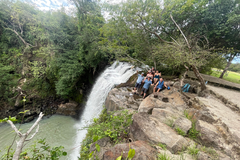 Rainforest Combo : Chocolate, Sloth & Nature