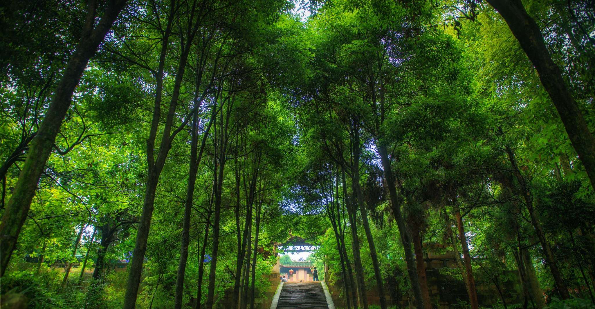 Chengdu, Private Day Tour to Mt. Qingcheng and Dujiangyan - Hizvo