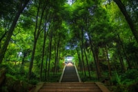 Chengdu, Visite d'une journée privée au Mont Qingcheng et Dujiangyan - Hizvo