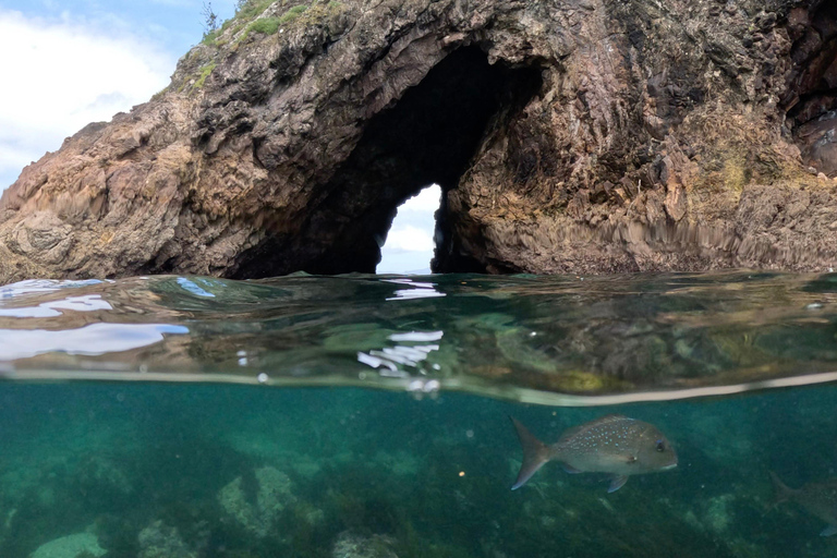 Wycieczka po wybrzeżu i jaskiniach Cathedral Cove