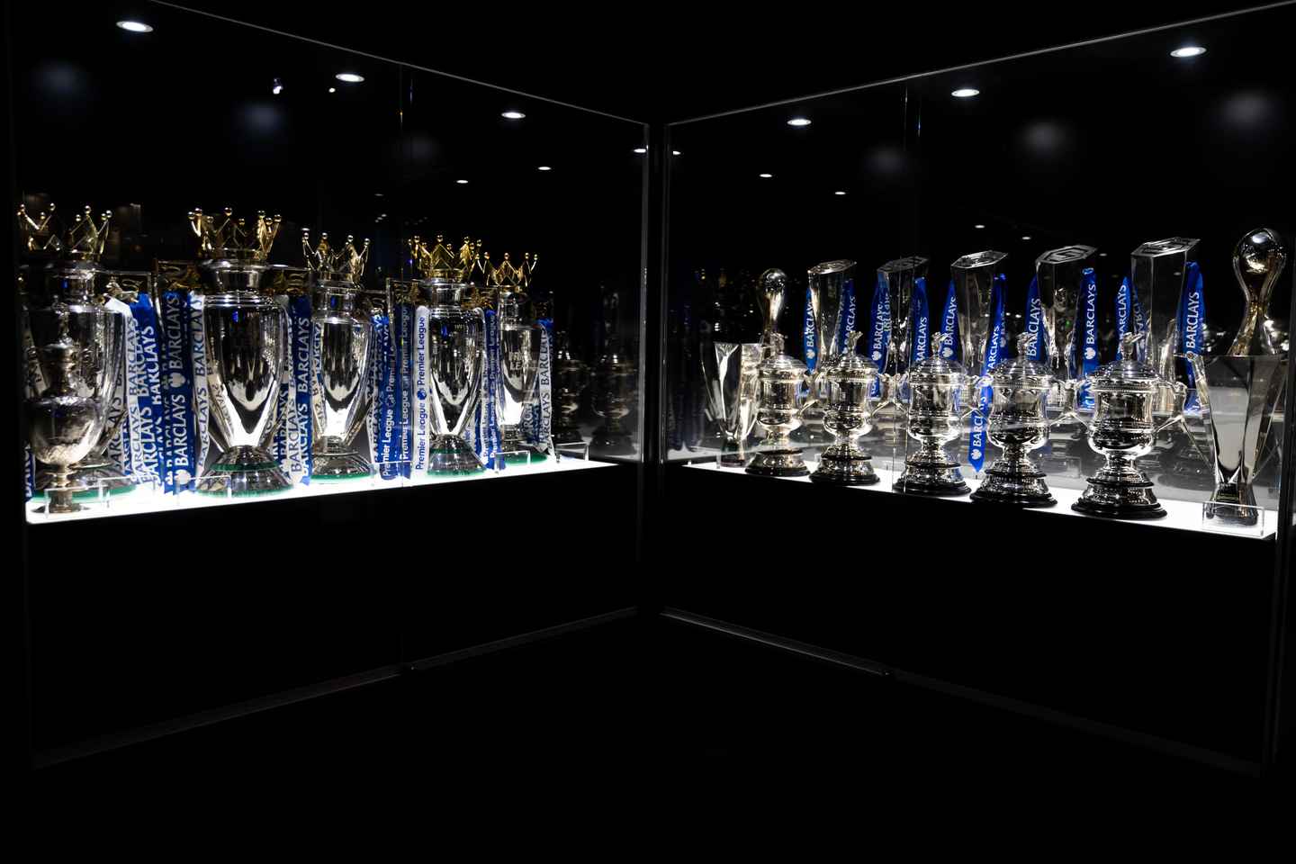 Londres : Musée Chelsea FC et Tour Stamford Bridge