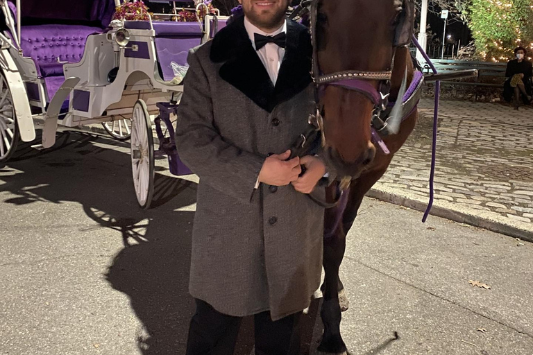 NYC: Paseo Privado en Coche de Caballos por las Luces de Navidad