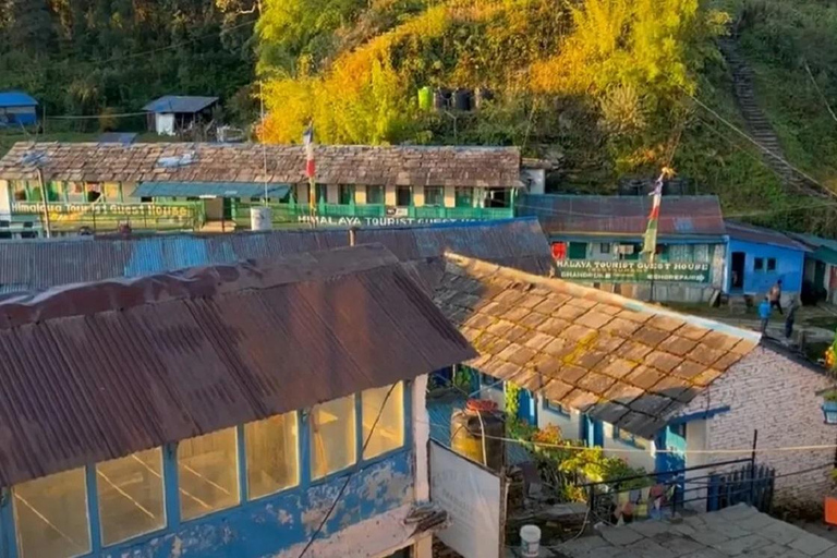 Pokhara: Mohare Danda & Poon Hill Sunrise Trek with Guide
