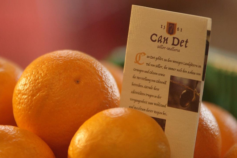 Sóller: Olijfolie proeverij en brunch bij Can Det Estate