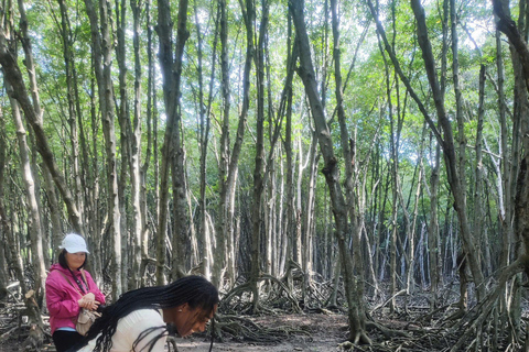 CAN GIO MANGROVE FOREST - MONKEY ISLAND FULL DAY GROUP TOUR