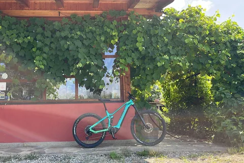 Wine and Food Tour : de la Reggia di Venaria Reale au Val Susa/Sangone