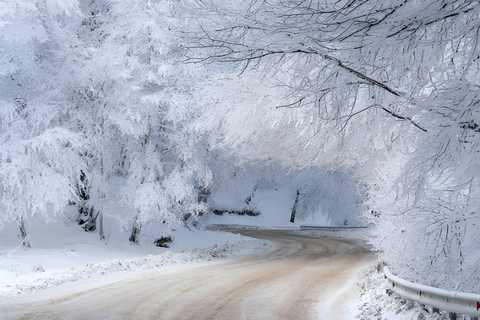 Tbilisi: Sabaduri Forest Siono Lake and Jvari Monastery