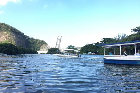 Rio de Janeiro: Ilha da Gigóia Canals and Wildlife Tour