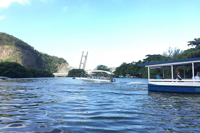 Rio de Janeiro: Ilha da Gigóia Canals and Wildlife Tour