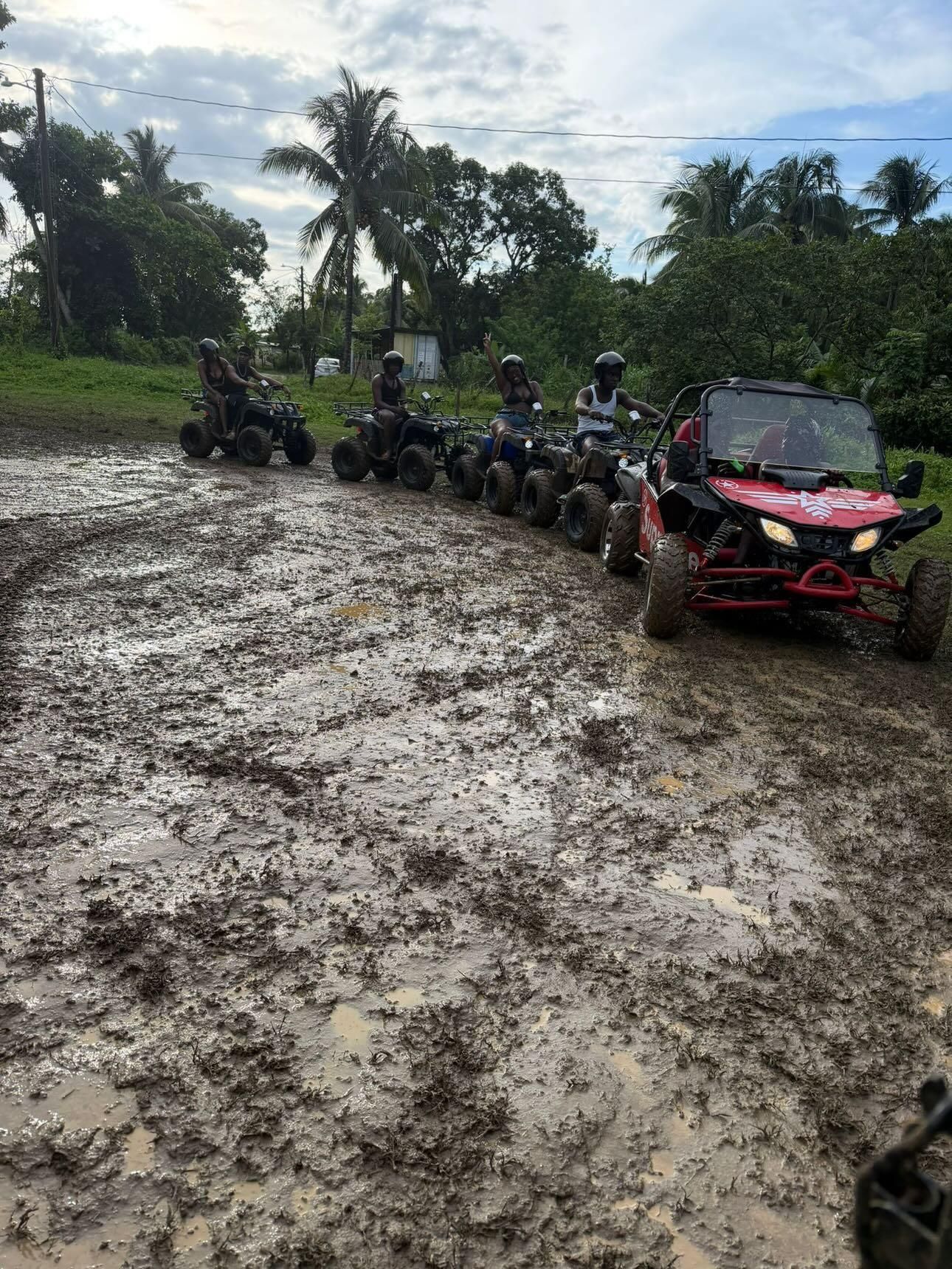 Linstead Bog Walk: Geführte Quad- oder Buggy-Abenteuertour