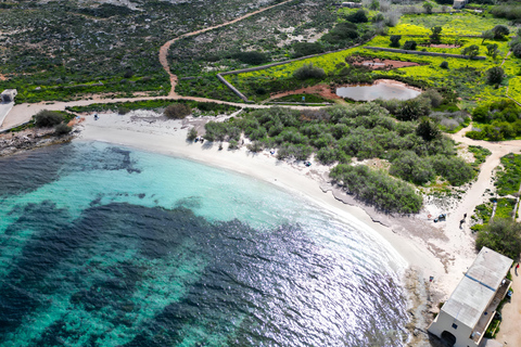 Malta: 9 Bays Cruise with Traditional Ftira and Transport
