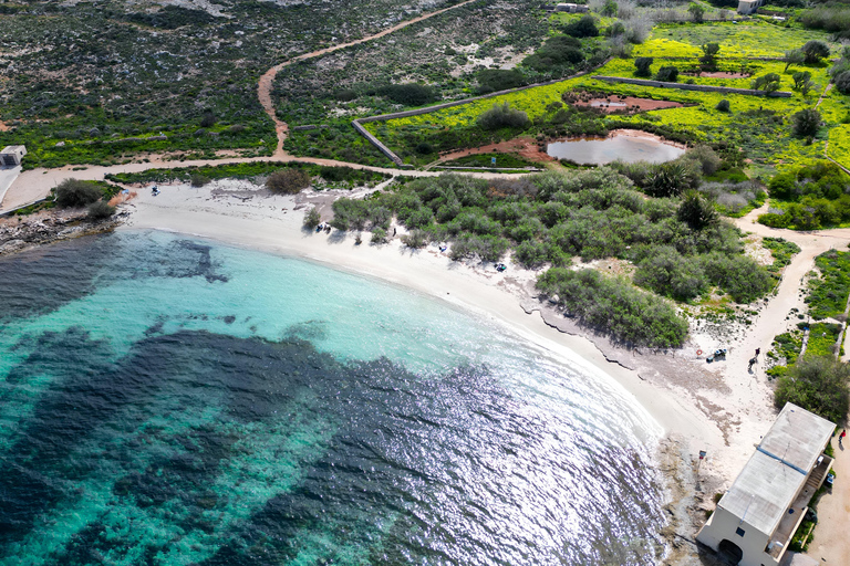 Malta: 9 Bays Cruise with Traditional Ftira and Transport