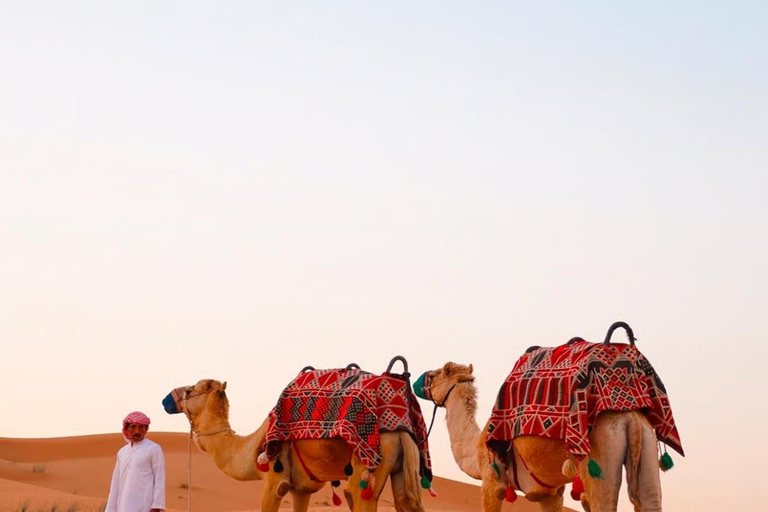 رحلات سفاري في الكثبان الرملية الذهبية في قطر، وركوب الجمال، والتزلج على الرمال، والبحر الداخليجو