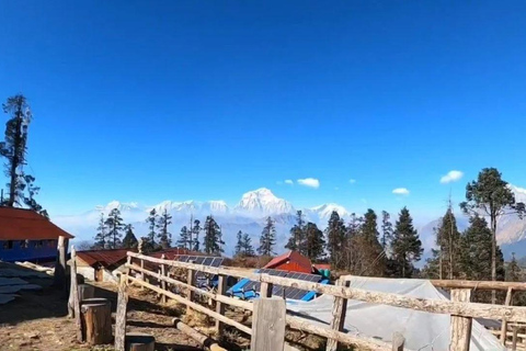 Mohare Danda Trek: Caminhada curta e fácil