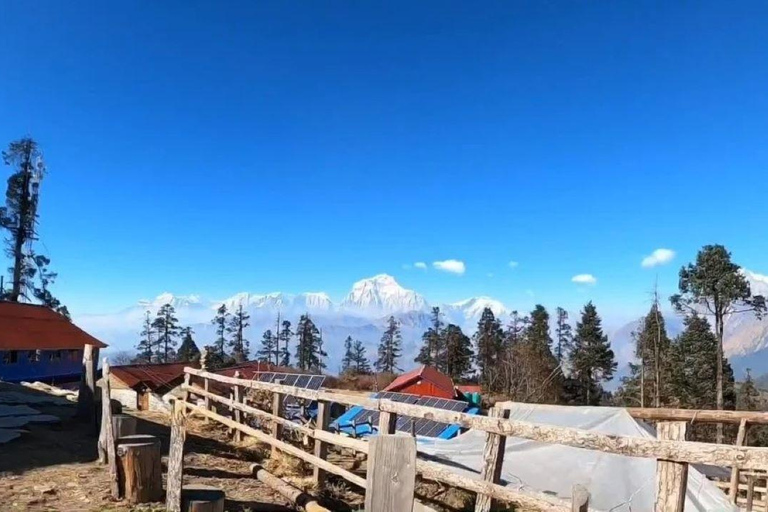 Mohare Danda Trek: Caminhada curta e fácil