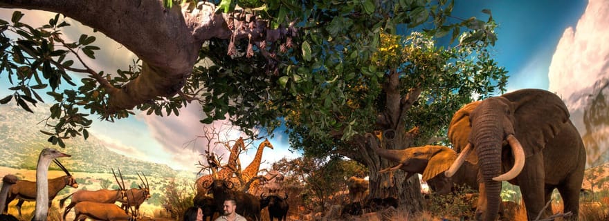 Springfield: Museo nazionale e acquario delle meraviglie della fauna selvatica
