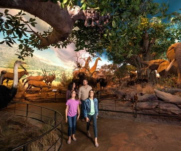 Springfield: Wonders of Wildlife National Museum & Aquarium