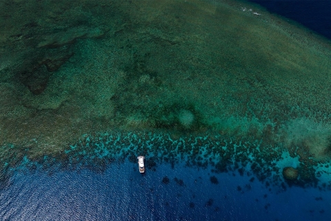 Combo de 3 días de Arrecife, Selva Tropical y Outback desde Cairns