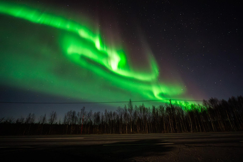 Rovaniemi: Northern Lights Tour – Guaranteed with Photos Small-Group Northern Lights Tour – Guaranteed with Photos