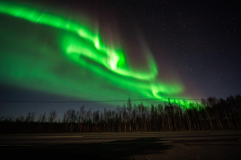Rovaniemi: Northern Lights Tour – Guaranteed with Photos Small-Group Northern Lights Tour – Guaranteed with Photos