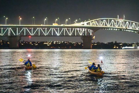 Auckland: Tour notturno in kayak con le luci della città