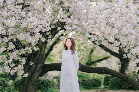 Reis door Tokio met een professionele fotograafReis van 1 uur door Tokio met een professionele fotograaf