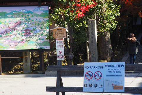 E-Bike Tour in Kyoto with Asuka, Japanese graduate student