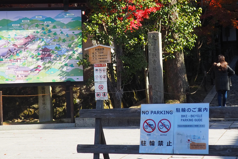 E-Bike Tour in Kyoto with Asuka, Japanese graduate student