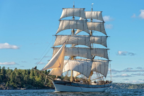 Stockholm: Historic Sailing Adventure on Traditional brig Full Day (7h)