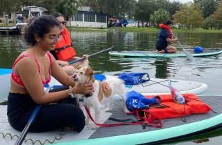 Orlando: Paddeln mit Hunden im Paradies - Paddleboard oder Kajak