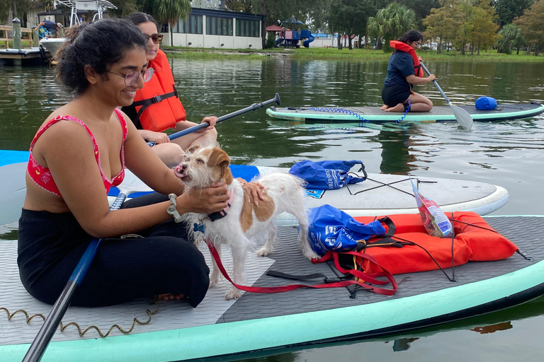 Orlando: Pagaia con i cuccioli in paradiso - Paddleboard o KayakPagaia con i cuccioli