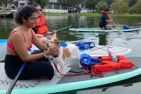 Orlando: Reme com seus cachorros no paraíso - Paddleboard ou caiaque