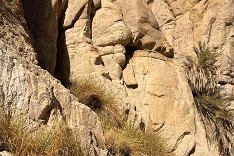 HRG: Jeep Safari with Quad, Buggy, Camel, Opt/ Dinner & show Mega Safari with Quad, Buggy, Camel ride & Bedouin camp