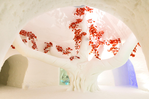 Levi: Guided Trip to Lainio SnowVillage Excursion to Lainio Snow Village by bus