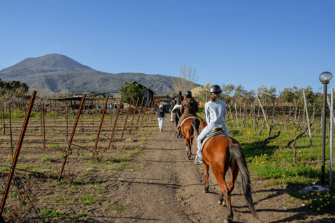 Passeio a cavalo no Monte VesúvioDe Pompéia: Passeio a cavalo pelo Monte Vesúvio
