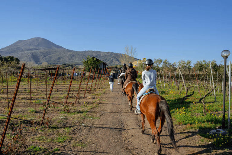 Passeio a cavalo no Monte VesúvioDe Pompéia: Passeio a cavalo pelo Monte Vesúvio