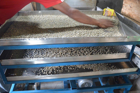 Pokhara: Sarangkot Village Coffee Culture & Local Life Hike