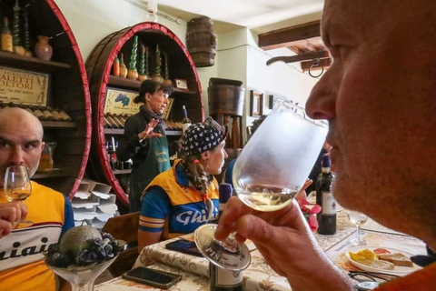 Winery & Vineyard Tour with Guided Tasting near Pisa Wine Tour in English