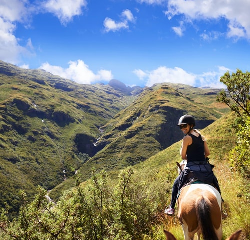 Sorrento: Horseback Ride Through Villages, Forest & Lunch
