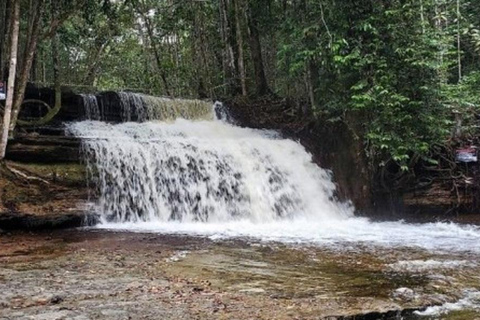 Manaus: Day trip to Presidente Figueiredo Waterfalls