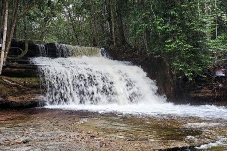 Manaus : Excursion d&#039;une journée aux chutes d&#039;eau de Presidente Figueiredo