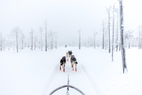 Rovaniemi: Santa Claus Village, Husky & Reindeer Tour