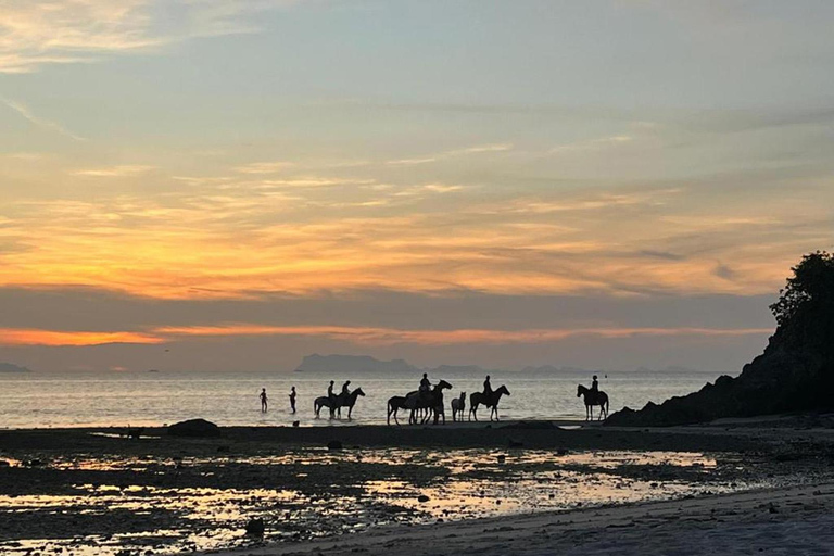 Viaggio a cavallo sulla spiaggia al tramonto di Phuket