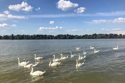 Your Own Belgrade: Private Sightseeing Tour &amp; Hidden Gems