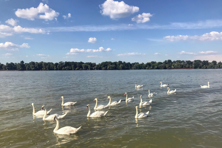 Your Own Belgrade: Private Sightseeing Tour &amp; Hidden Gems