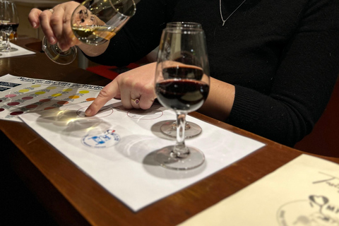 Vinhos de Bordeaux: aula de degustação com 4 vinhos brancos e queijo